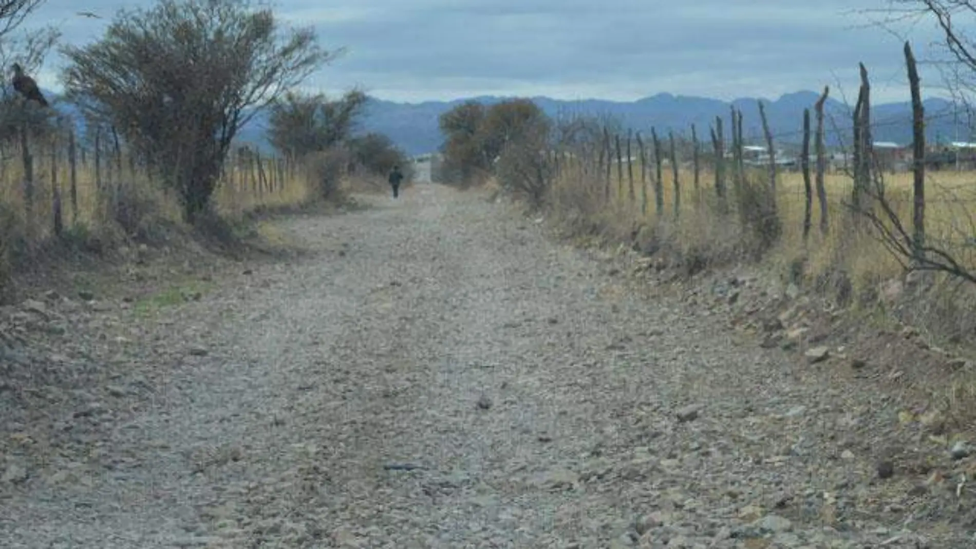 CAMINOS RURALES